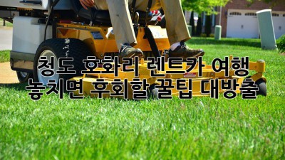 청도 호화리 렌트카🚗 여행, 놓치면 후회할 꿀팁 대방출!