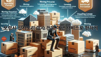 보령시 삽시도리 이사, 전문 대행 서비스로 편하게!