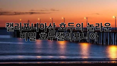캘리포니아산 호두의 놀라운 비밀: 호두캘리포니아